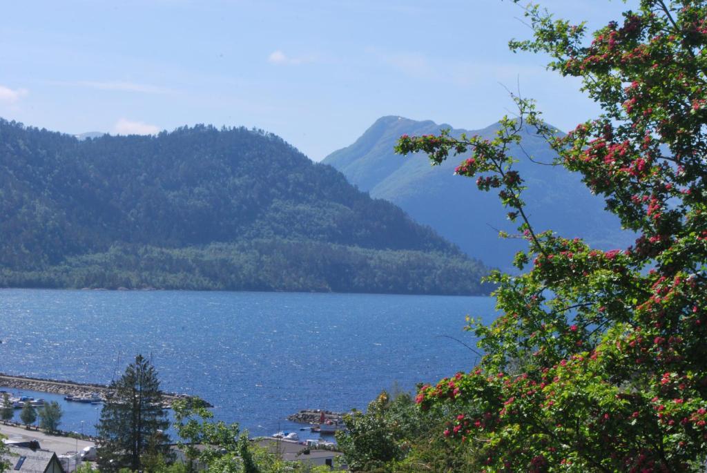 Sjoholt Camping Экстерьер фото