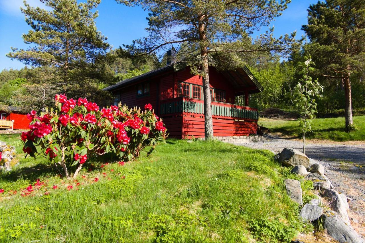 Sjoholt Camping Экстерьер фото